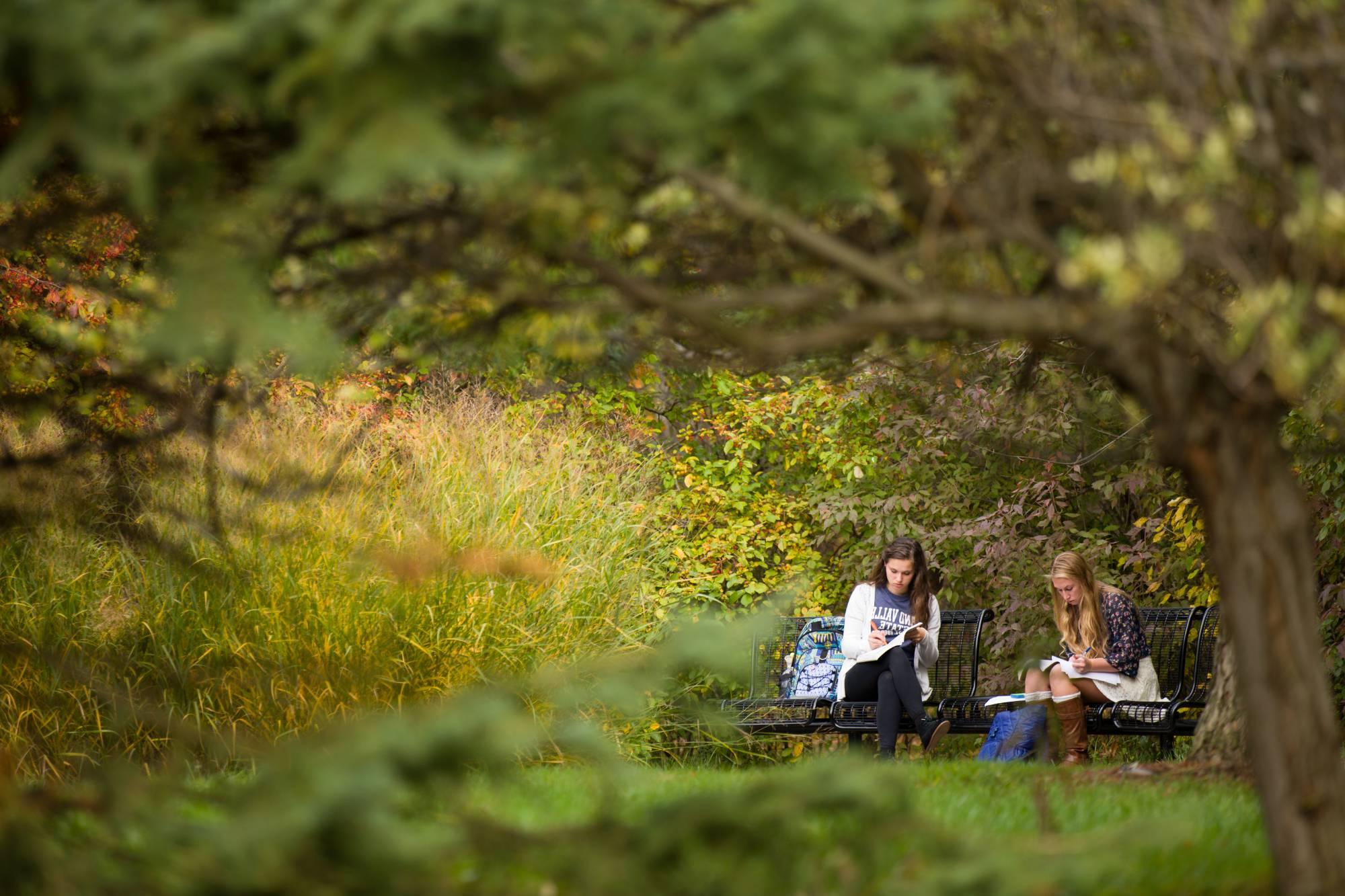 Two students talking on a bench outside